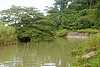 57B42e Road to Lucea.jpg