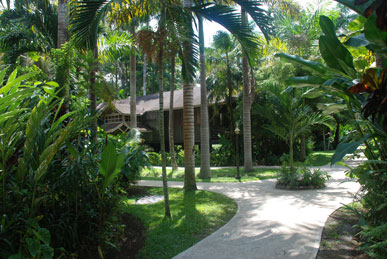 Resort Grounds