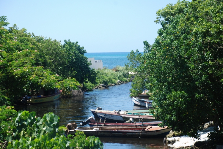 39C95 Negril River.JPG