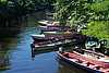 37C92 Negril River.JPG