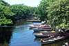 38C94 Negril River.JPG