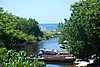 39C95 Negril River.JPG