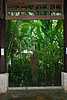 20D80c Palm Grove Restaurant.jpg