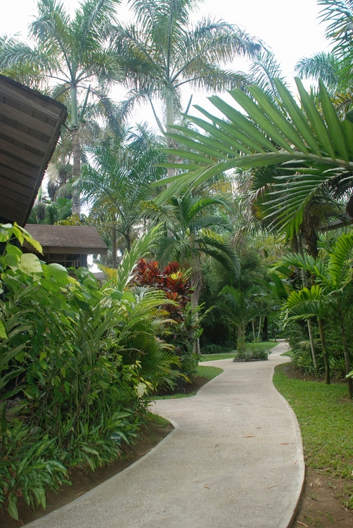 07D14c Walkway.jpg