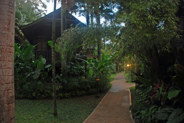 20D100e Walkway.jpg