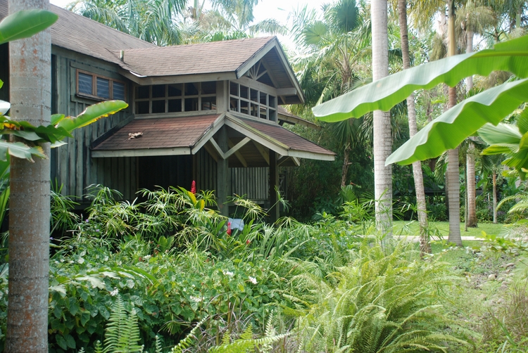 31D46c Treehouse Unit.jpg