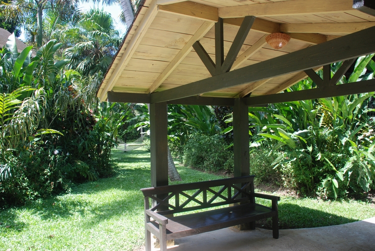 37D52 Bench & Hammock.JPG