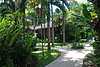 10D18 Walkway.JPG