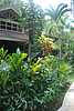 39D54 Treehouse Unit.JPG