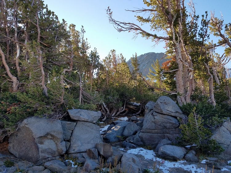 Round Top 2016-09-14_07.55.17.jpg