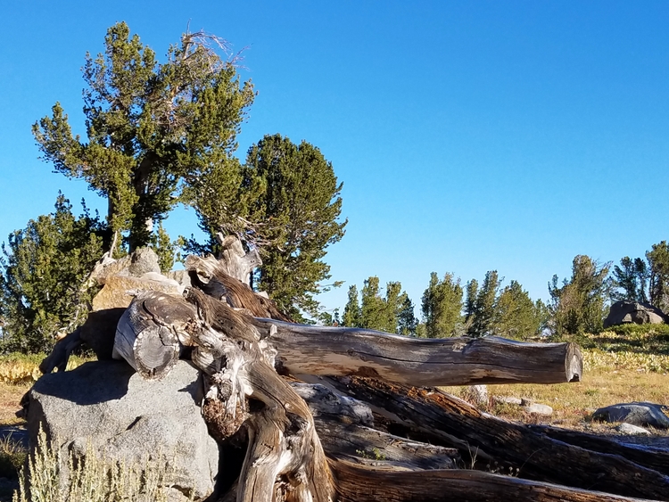 Round Top 2016-09-14_08.24.57.jpg