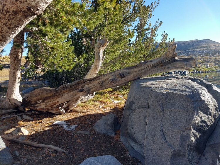 Round Top 2016-09-14_08.25.53e.jpg