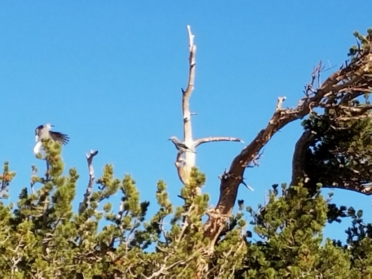 Round Top 2016-09-14_09.08.29.jpg