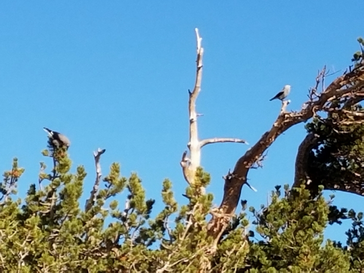 Round Top 2016-09-14_09.08.34.jpg