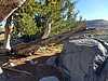 Round Top 2016-09-14_08.25.53e.jpg