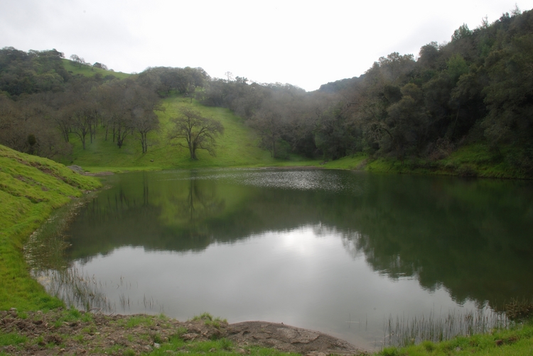 Blair Ranch (07e).jpg