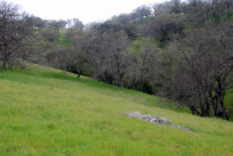 Blair Ranch (17e).jpg