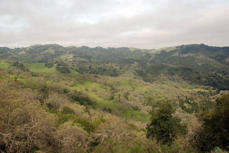 Blair Ranch (29e).jpg
