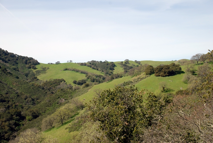 Blair Ranch (52e).jpg
