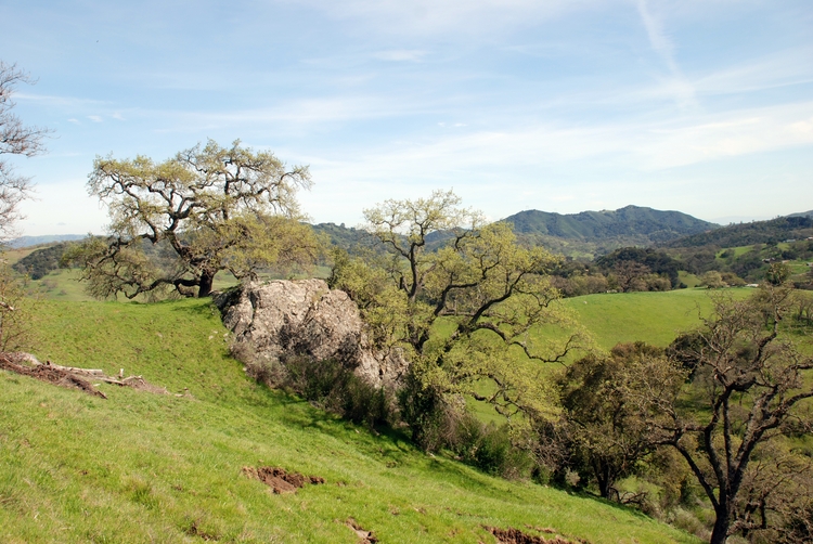 Blair Ranch (58e).jpg