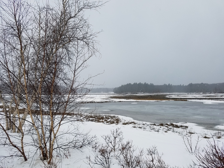 2017-03-24 Maine (12e).jpg