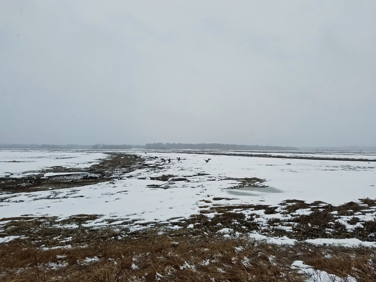 2017-03-24 Maine (13e).jpg