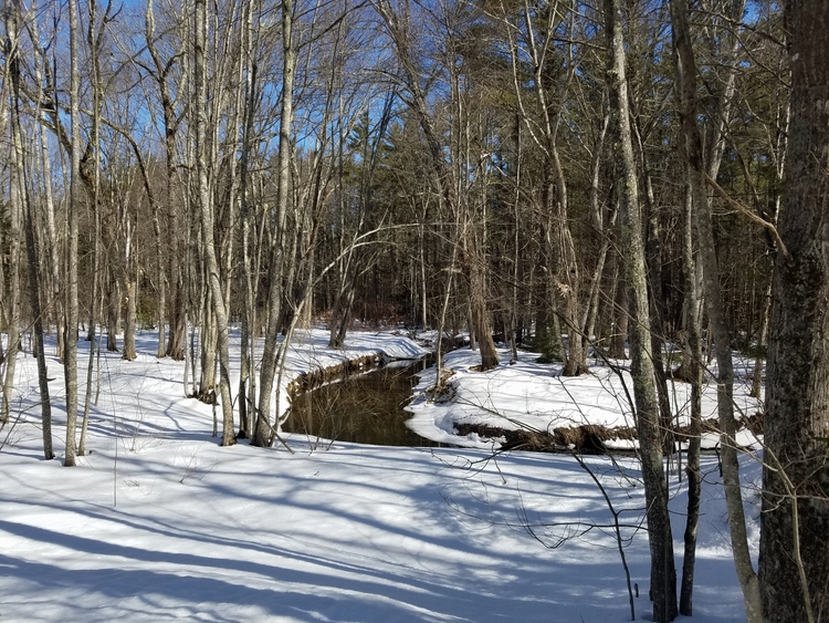 2017-03-26 Maine (30).jpg