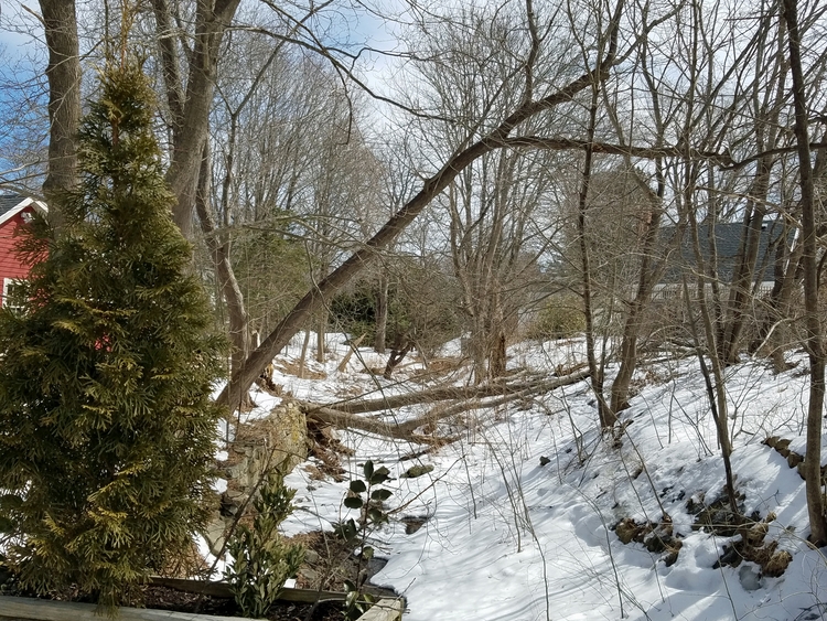2017-03-26 Maine (47e).jpg